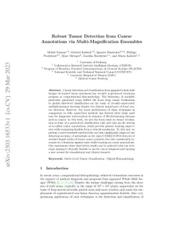 Robust Tumor Detection from Coarse Annotations via Multi-Magnification
  Ensembles