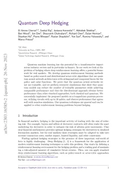 Quantum Deep Hedging