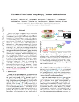 Hierarchical Fine-Grained Image Forgery Detection and Localization