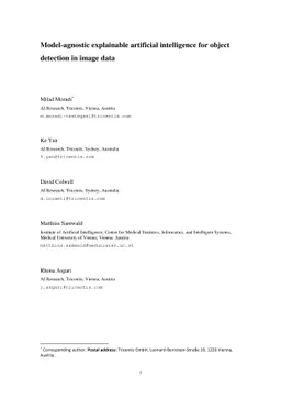 Model-agnostic explainable artificial intelligence for object detection
  in image data