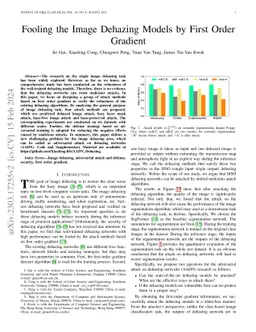 Fooling the Image Dehazing Models by First Order Gradient