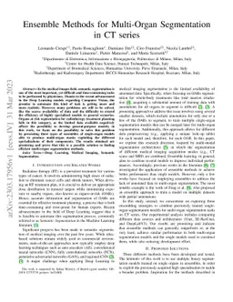 Ensemble Methods for Multi-Organ Segmentation in CT Series