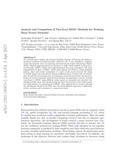 Analysis and Comparison of Two-Level KFAC Methods for Training Deep
  Neural Networks