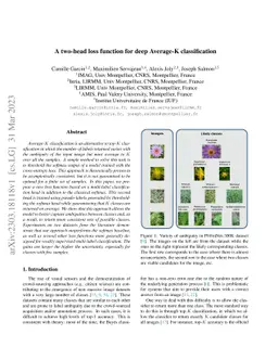 A two-head loss function for deep Average-K classification