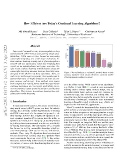 How Efficient Are Today's Continual Learning Algorithms?