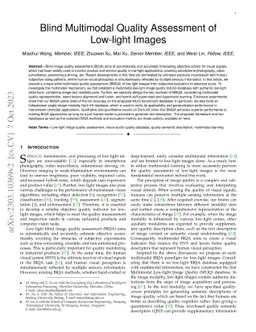 Blind Multimodal Quality Assessment of Low-light Images