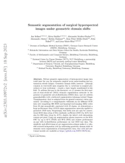 Semantic segmentation of surgical hyperspectral images under geometric
  domain shifts