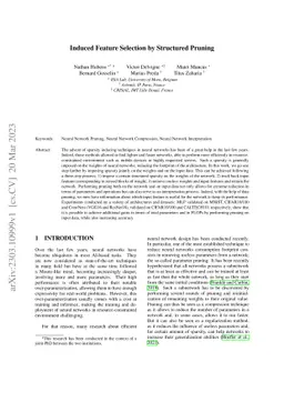 Induced Feature Selection by Structured Pruning