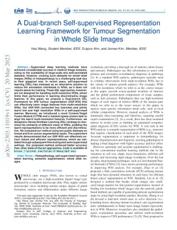 A Dual-branch Self-supervised Representation Learning Framework for
  Tumour Segmentation in Whole Slide Images