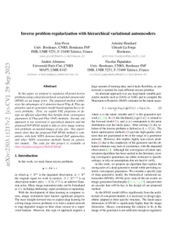 Inverse problem regularization with hierarchical variational
  autoencoders
