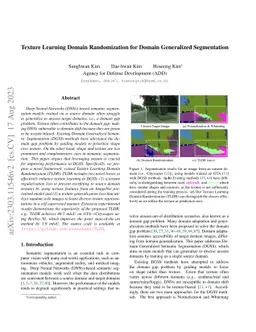 Texture Learning Domain Randomization for Domain Generalized
  Segmentation