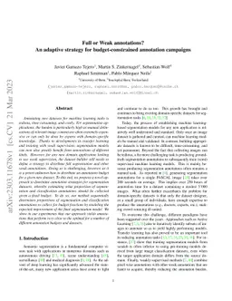 Full or Weak annotations? An adaptive strategy for budget-constrained
  annotation campaigns