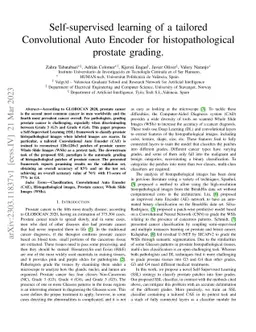 Self-supervised learning of a tailored Convolutional Auto Encoder for
  histopathological prostate grading