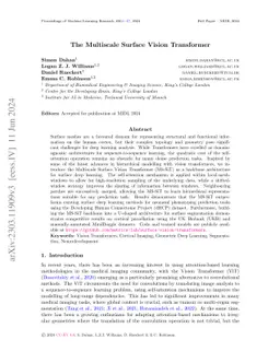 The Multiscale Surface Vision Transformer