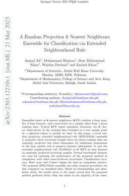 A Random Projection k Nearest Neighbours Ensemble for Classification via
  Extended Neighbourhood Rule