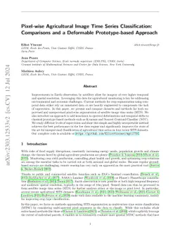 Pixel-wise Agricultural Image Time Series Classification: Comparisons
  and a Deformable Prototype-based Approach