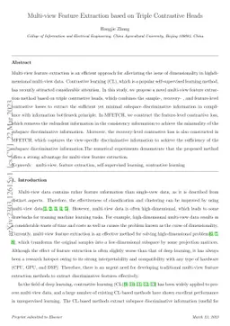Multi-view Feature Extraction based on Triple Contrastive Heads