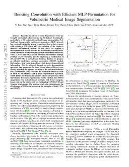 Boosting Convolution with Efficient MLP-Permutation for Volumetric Medical Image Segmentation