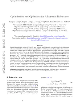 Optimization and Optimizers for Adversarial Robustness