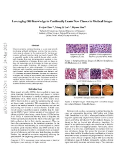 Leveraging Old Knowledge to Continually Learn New Classes in Medical
  Images