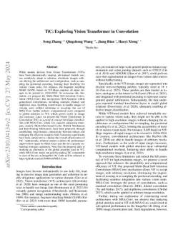 TiC: Exploring Vision Transformer in Convolution