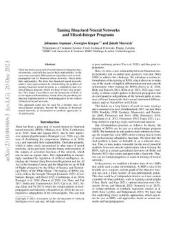 Taming Binarized Neural Networks and Mixed-Integer Programs