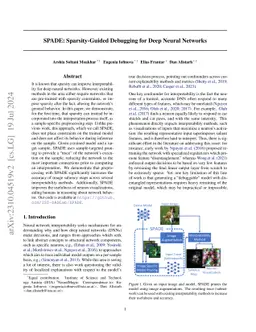 SPADE: Sparsity-Guided Debugging for Deep Neural Networks