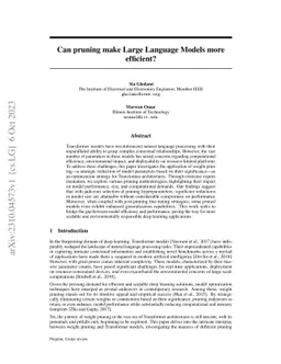 Can pruning make Large Language Models more efficient?