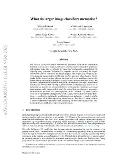 What do larger image classifiers memorise?