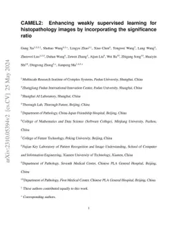 CAMEL2: Enhancing weakly supervised learning for histopathology images
  by incorporating the significance ratio