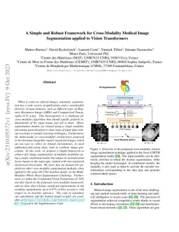 A Simple and Robust Framework for Cross-Modality Medical Image
  Segmentation applied to Vision Transformers