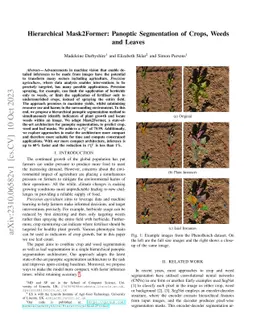 Hierarchical Mask2Former: Panoptic Segmentation of Crops, Weeds and
  Leaves
