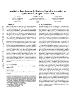 Multiview Transformer: Rethinking Spatial Information in Hyperspectral
  Image Classification
