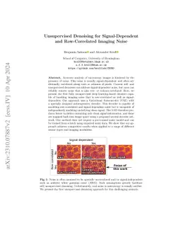 Unsupervised Denoising for Signal-Dependent and Row-Correlated Imaging Noise