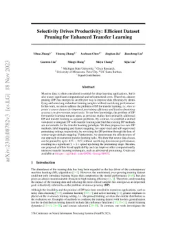 Selectivity Drives Productivity: Efficient Dataset Pruning for Enhanced
  Transfer Learning