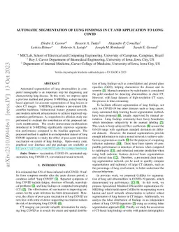 Automatic segmentation of lung findings in CT and application to Long
  COVID