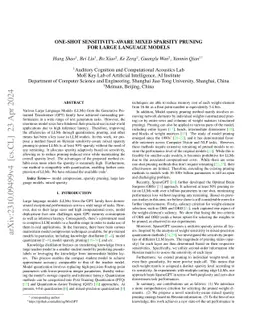One-Shot Sensitivity-Aware Mixed Sparsity Pruning for Large Language
  Models