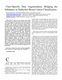 Class-Specific Data Augmentation: Bridging the Imbalance in Multiclass
  Breast Cancer Classification