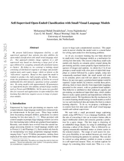 Self-Supervised Open-Ended Classification with Small Visual Language
  Models