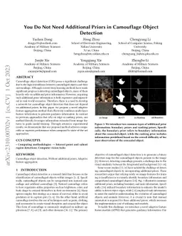 You Do Not Need Additional Priors in Camouflage Object Detection