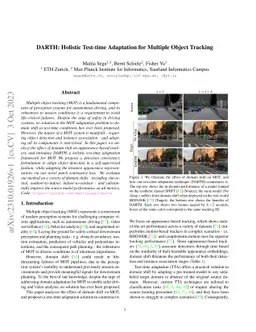 DARTH: Holistic Test-time Adaptation for Multiple Object Tracking