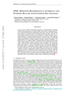 SNIP: Bridging Mathematical Symbolic and Numeric Realms with Unified
  Pre-training