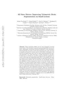 All Sizes Matter: Improving Volumetric Brain Segmentation on Small
  Lesions