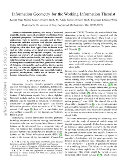 Information Geometry for the Working Information Theorist