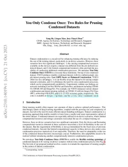 You Only Condense Once: Two Rules for Pruning Condensed Datasets