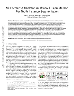 MSFormer: A Skeleton-multiview Fusion Method For Tooth Instance
  Segmentation