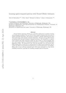 Learning spatio-temporal patterns with Neural Cellular Automata