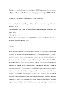 Dual-path convolutional neural network using micro-FTIR imaging to
  predict breast cancer subtypes and biomarkers levels: estrogen receptor,
  progesterone receptor, HER2 and Ki67