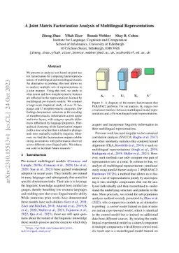 A Joint Matrix Factorization Analysis of Multilingual Representations