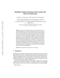 DualMatch: Robust Semi-Supervised Learning with Dual-Level Interaction